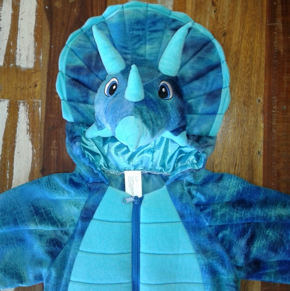 Dinosaur Triceratops Costume